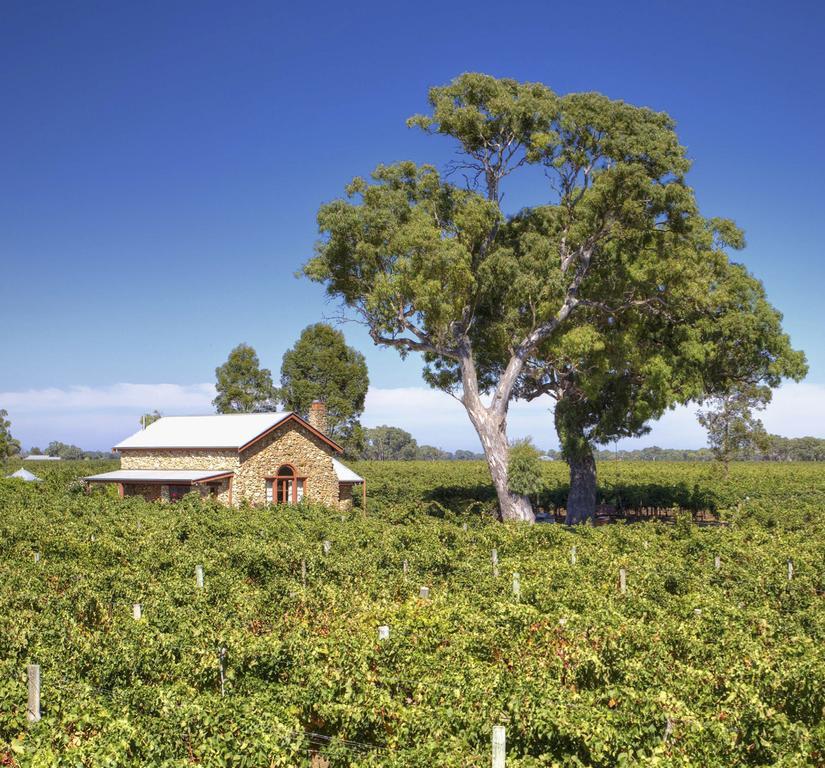 Highbank Country Accommodation Coonawarra Pokój zdjęcie