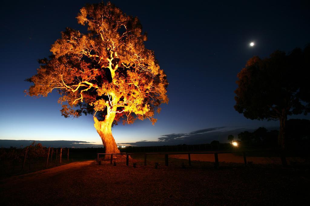 Highbank Country Accommodation Coonawarra Pokój zdjęcie
