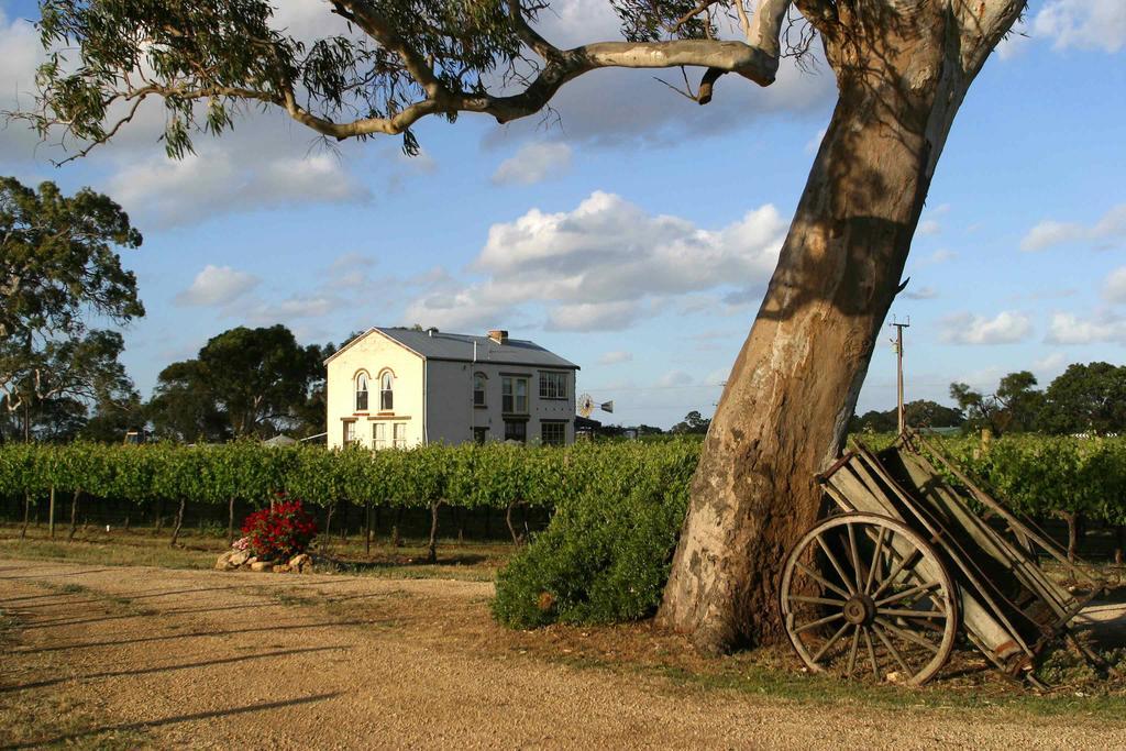 Highbank Country Accommodation Coonawarra Zewnętrze zdjęcie