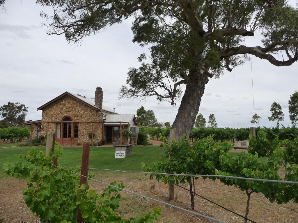 Highbank Country Accommodation Coonawarra Zewnętrze zdjęcie