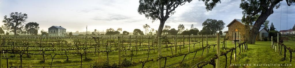 Highbank Country Accommodation Coonawarra Zewnętrze zdjęcie