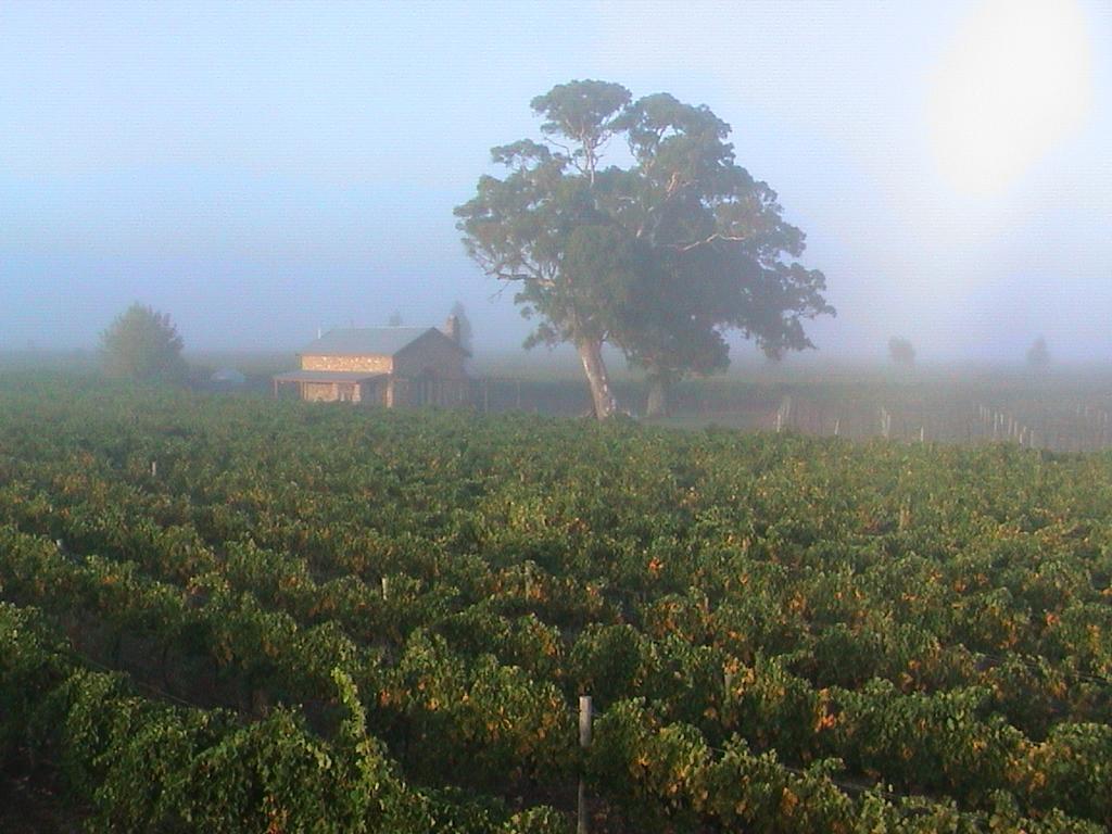 Highbank Country Accommodation Coonawarra Zewnętrze zdjęcie