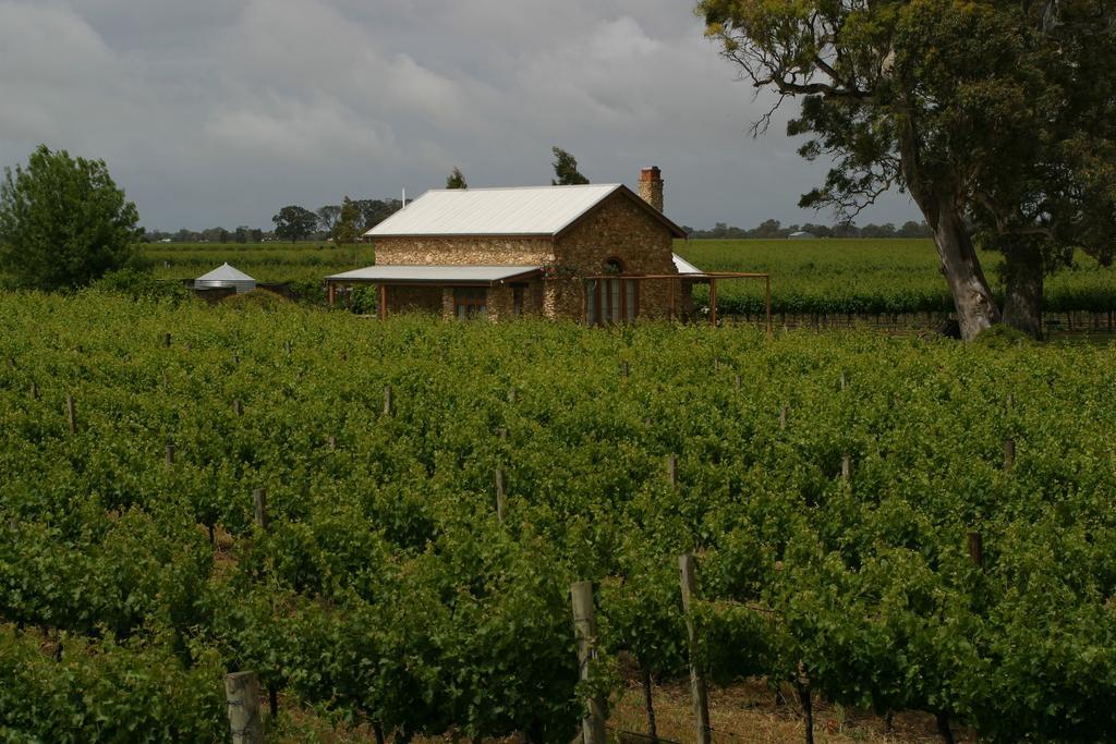 Highbank Country Accommodation Coonawarra Zewnętrze zdjęcie