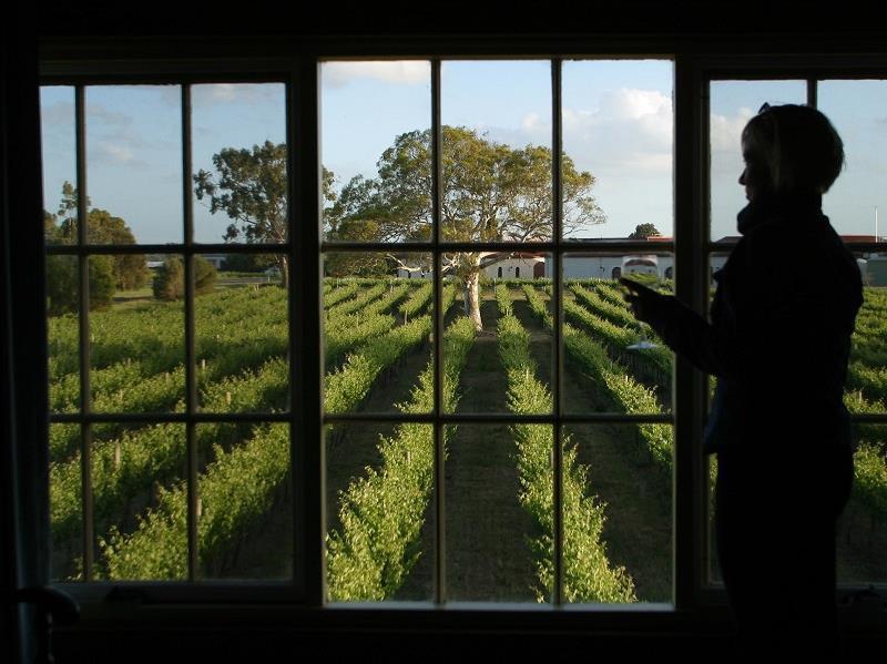 Highbank Country Accommodation Coonawarra Zewnętrze zdjęcie