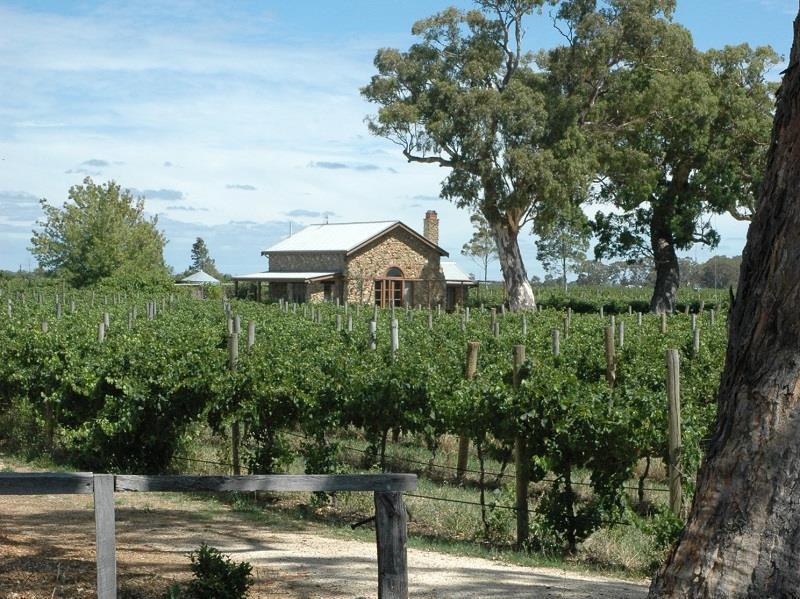 Highbank Country Accommodation Coonawarra Zewnętrze zdjęcie